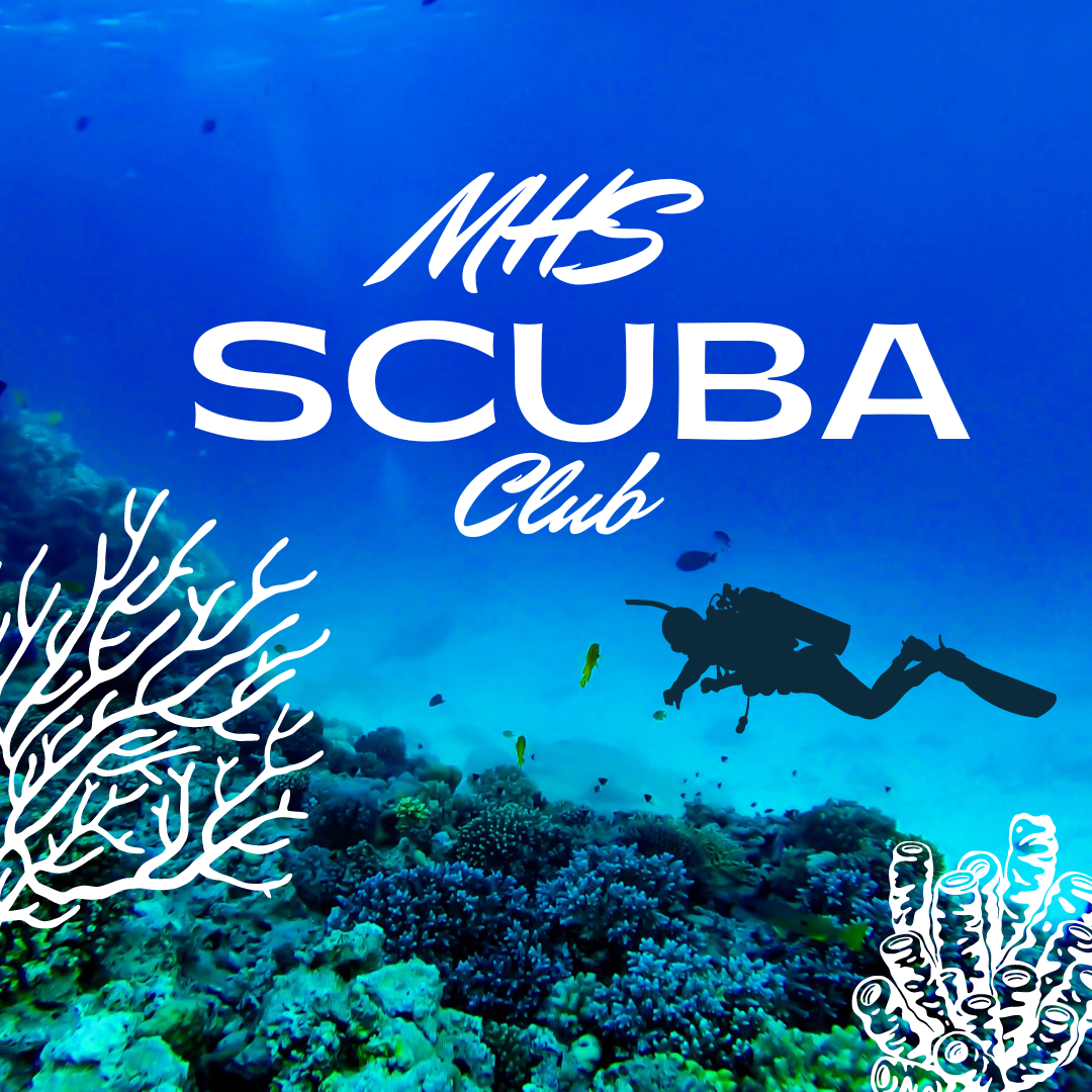 human silhouette SCUBA diving on a reef